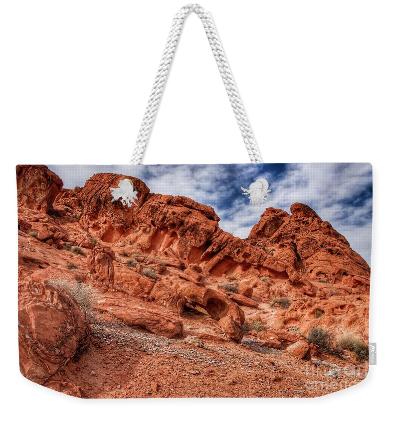  Weekender Tote Bag featuring the photograph By Earthly Design by Rodney Lee Williams
