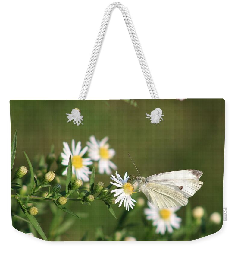 Butterfly Weekender Tote Bag featuring the photograph Cabbage Butterfly on Wildflowers by Christopher Reed