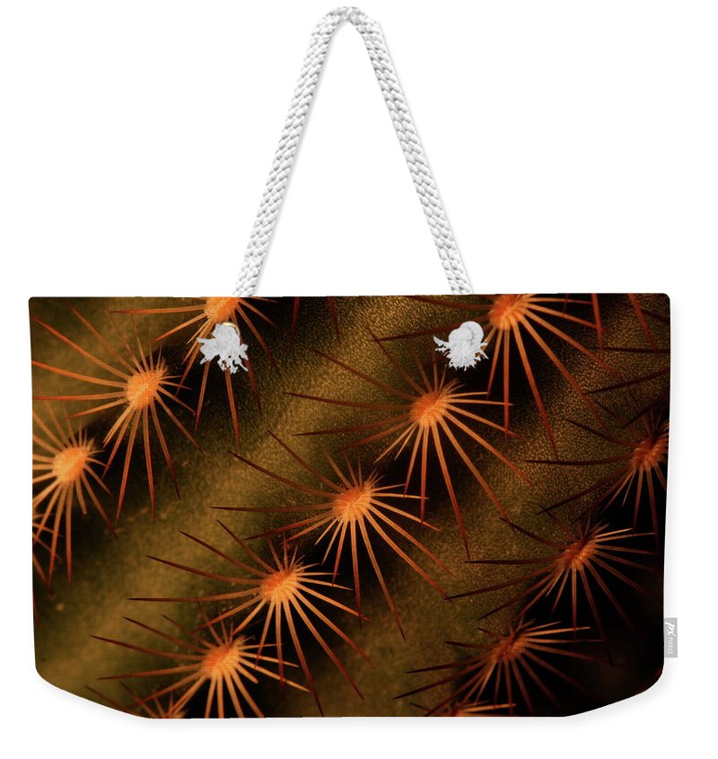 Art Weekender Tote Bag featuring the photograph Cactus 9521 by Julie Powell