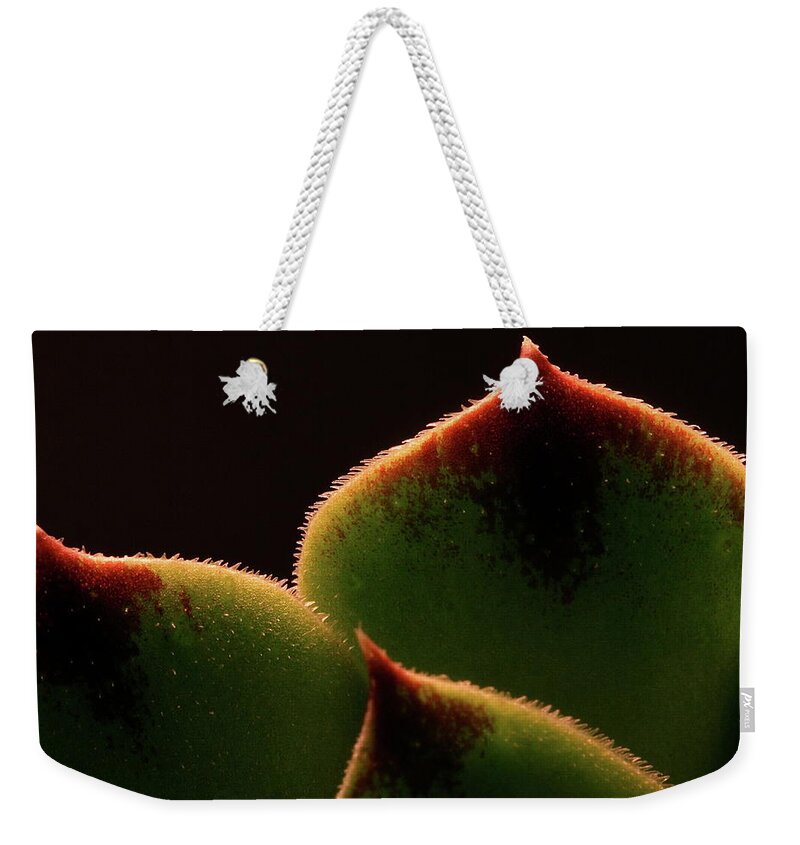 Macro Weekender Tote Bag featuring the photograph Cactus 9609 by Julie Powell