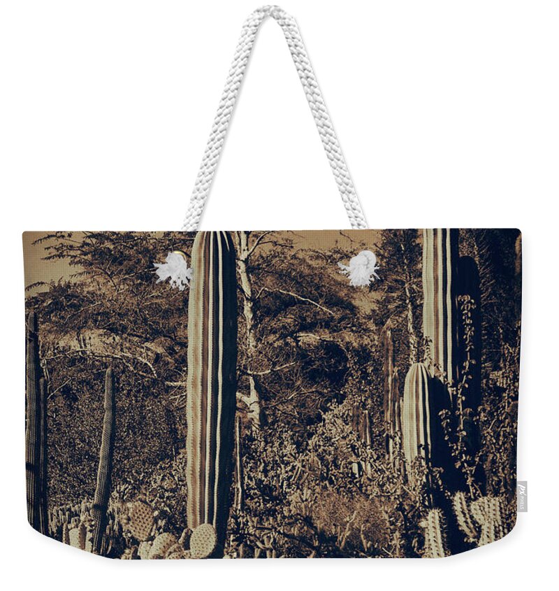 Cactus Weekender Tote Bag featuring the photograph Cactus Garden 9 by Lawrence Knutsson