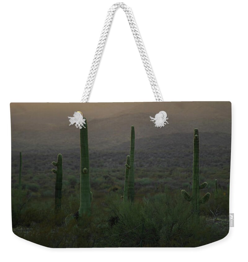 Landscape Weekender Tote Bag featuring the photograph Cactus Huddle by Go and Flow Photos