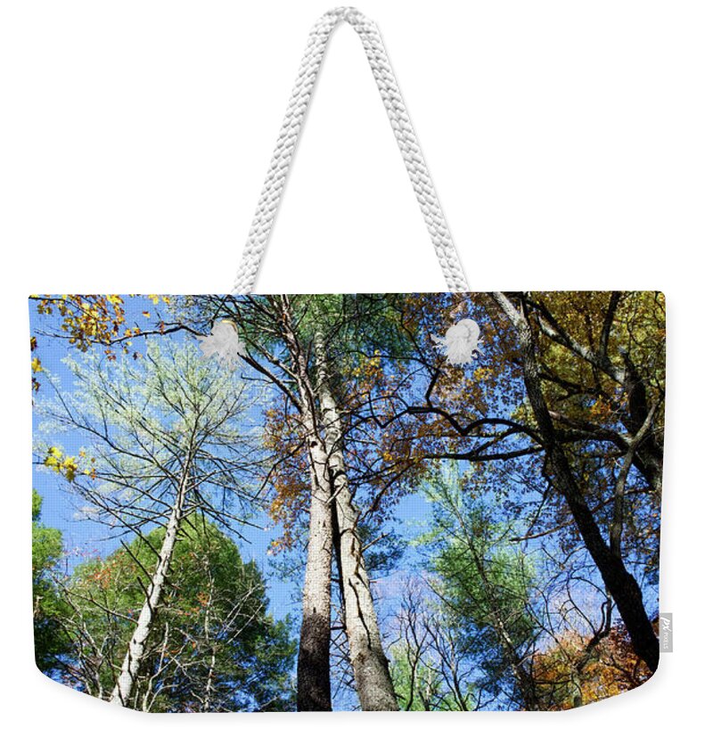 Autumn Weekender Tote Bag featuring the photograph Cades Cove Landscape 4 by Phil Perkins