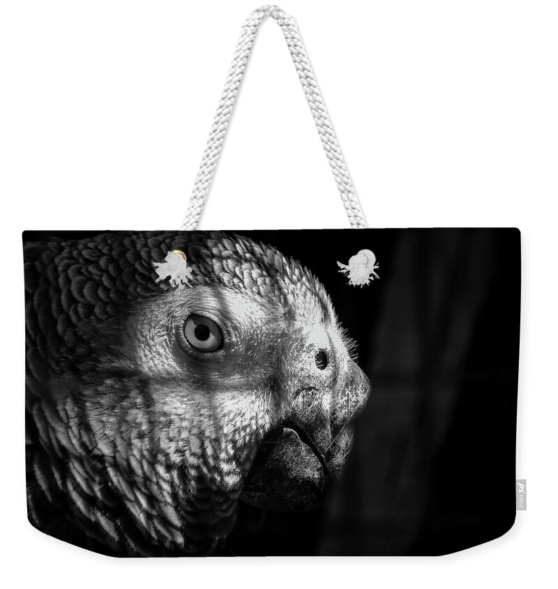 Angry Weekender Tote Bag featuring the photograph Caged Parrot by Mike Fusaro
