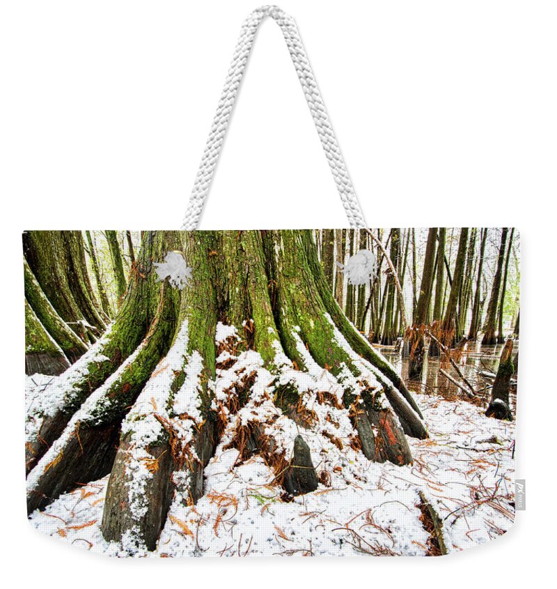 2017 Weekender Tote Bag featuring the photograph Cajun snowfall by Andy Crawford