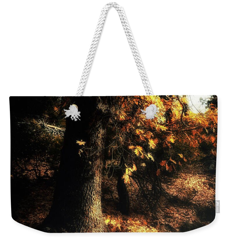 Yosemite Weekender Tote Bag featuring the photograph California Black Oak by Lawrence Knutsson