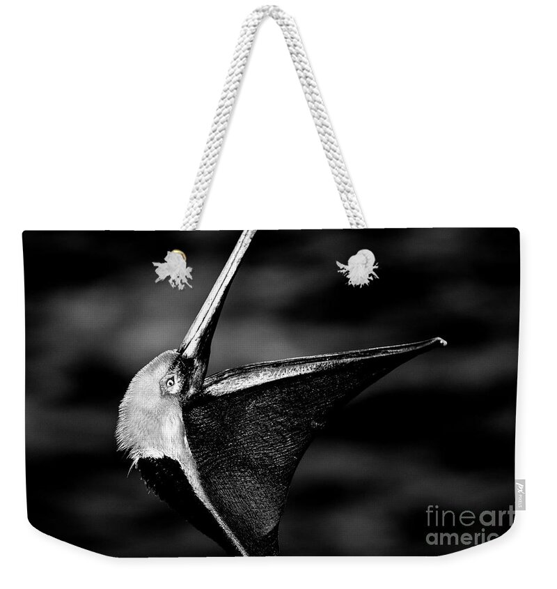 Pelicans Weekender Tote Bag featuring the photograph The Dreamcatcher by John F Tsumas