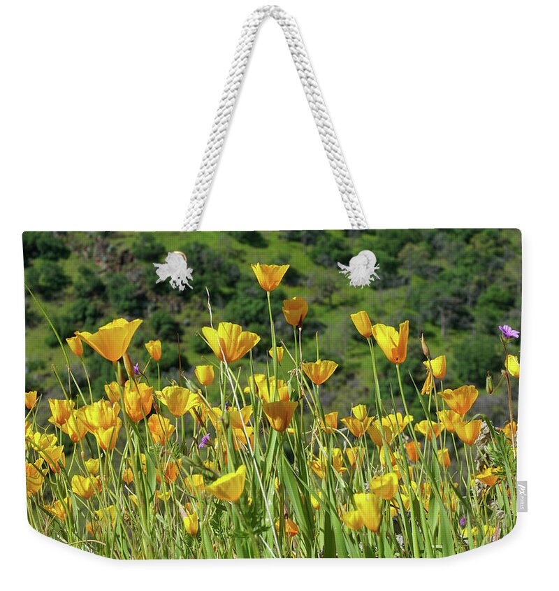 Poppies Weekender Tote Bag featuring the photograph California Gold by Brett Harvey