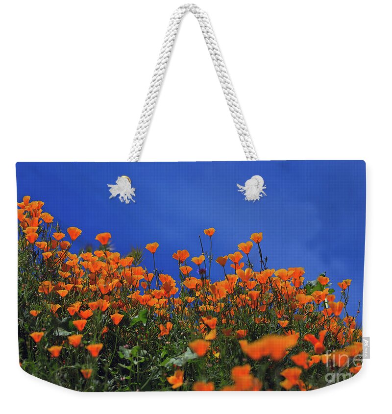 Yellow Weekender Tote Bag featuring the photograph California Poppies at Walker Canyon in Lake Elsinore, California by Sam Antonio