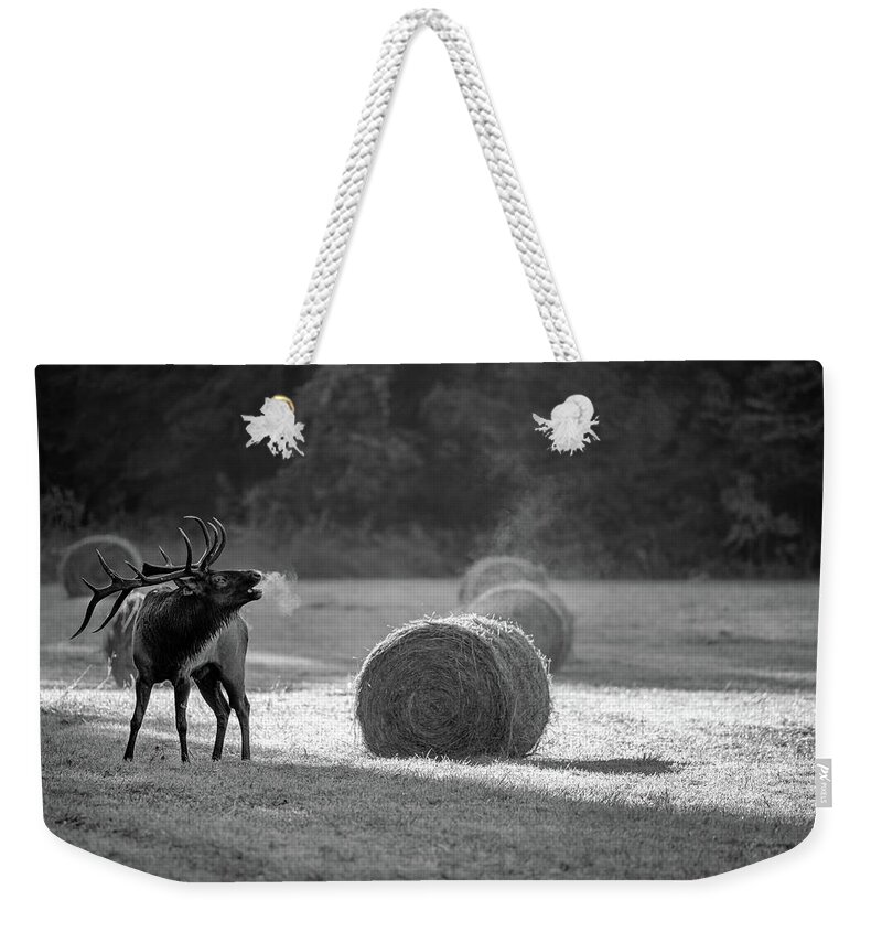Great Smoky Mountains National Park Weekender Tote Bag featuring the photograph Call of the Wild by Robert J Wagner