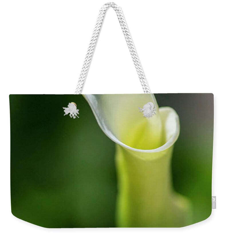 Calla Lily Weekender Tote Bag featuring the photograph Calla Lily 2 by Kathy Paynter