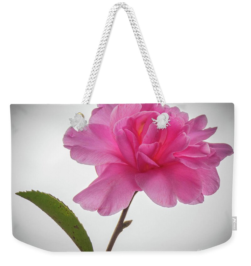 Flower Weekender Tote Bag featuring the photograph Camellia 3 by Barry Bohn