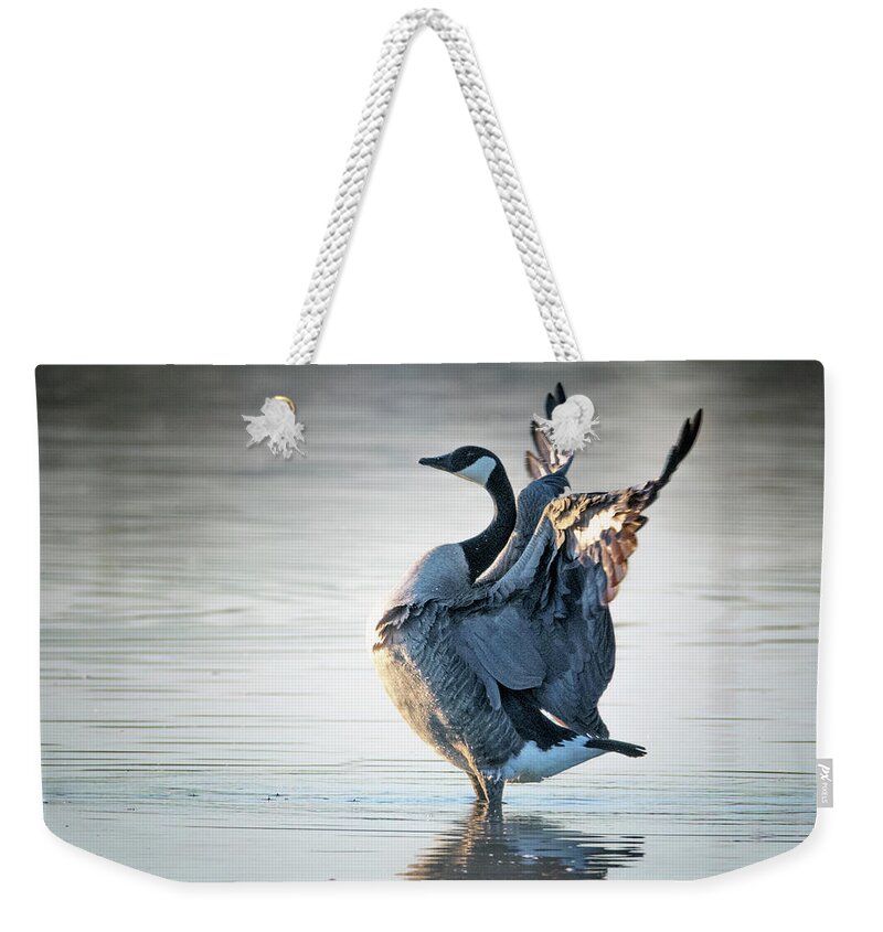 Canada Goose Weekender Tote Bag featuring the photograph Canada Goose 3522-011020-2 by Tam Ryan