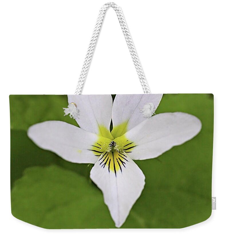 Canada Violet Weekender Tote Bag featuring the photograph Canada Violet by Bob Falcone