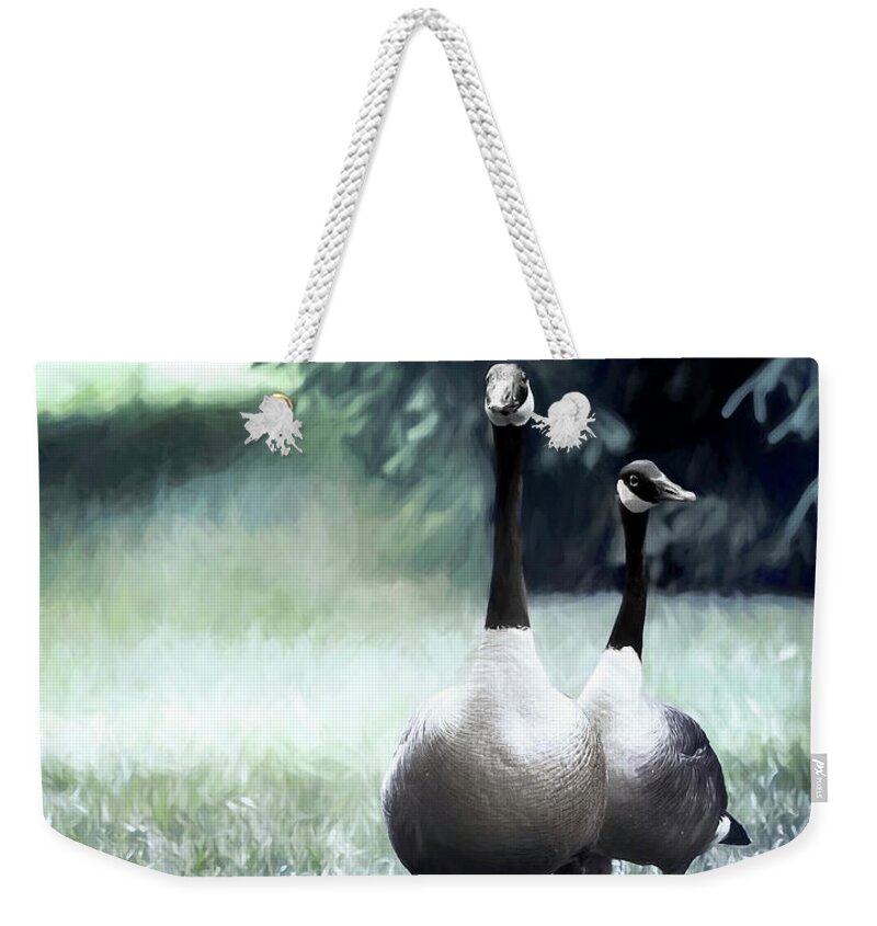 Canadian Geese Weekender Tote Bag featuring the photograph Canadian Geese Series 2 by Darlene Kwiatkowski