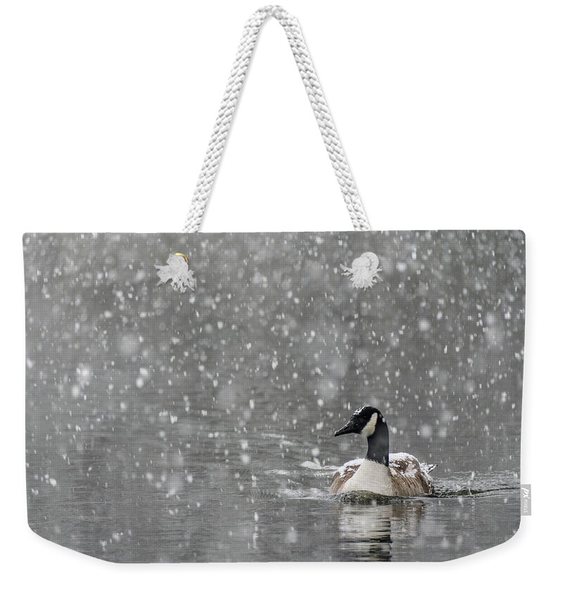North America Weekender Tote Bag featuring the photograph Canadian Goose in Snow 2 by Melissa Southern