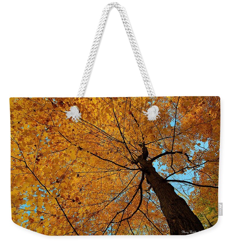 Autumn Leaves Weekender Tote Bag featuring the photograph Canopy of Color by Mary Walchuck