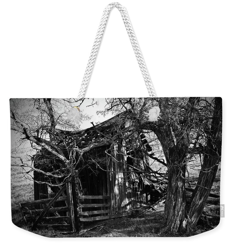  Weekender Tote Bag featuring the digital art Canyon, Homestead B/W by Fred Loring