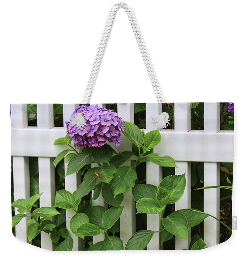 Hydrangeas Weekender Tote Bag featuring the photograph Cape Cod Garden by Jayne Carney