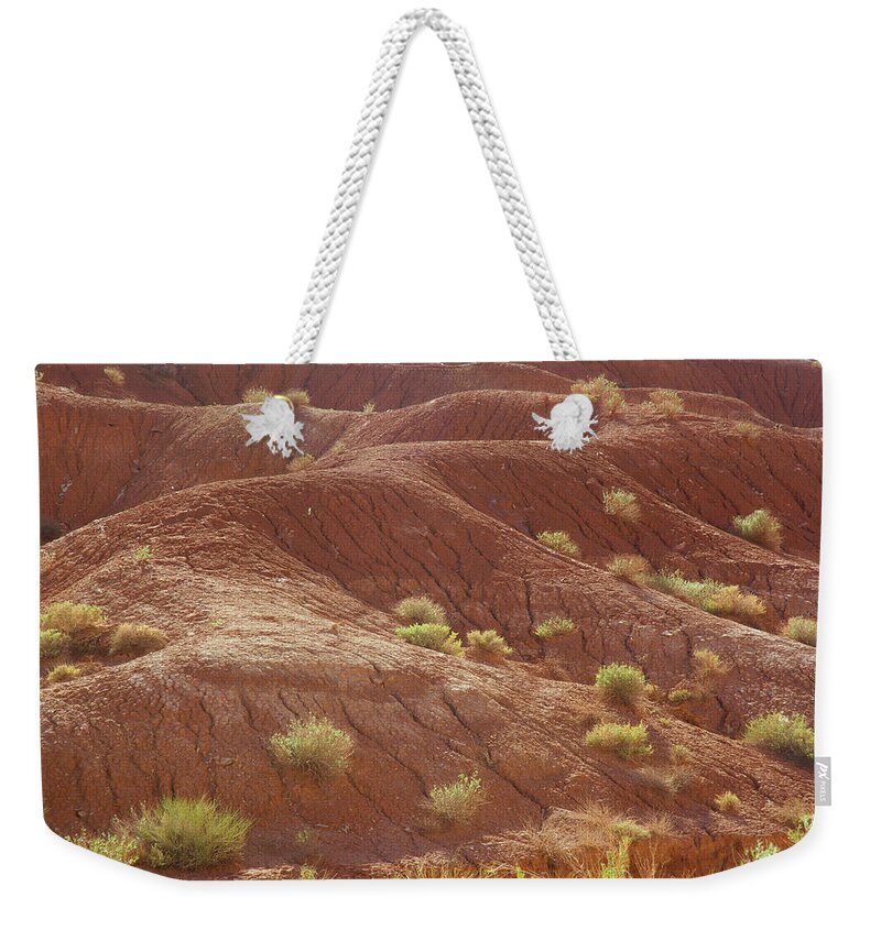 Capitol Reef Weekender Tote Bag featuring the photograph Capitol Abstract by Aaron Spong