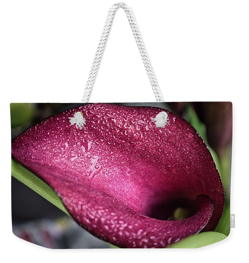 Flower Weekender Tote Bag featuring the photograph Captivating Calla Lily by Portia Olaughlin