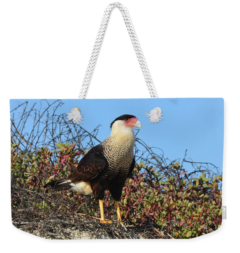 Caracara Weekender Tote Bag featuring the photograph Caracara in the Dunes by Debra Martz