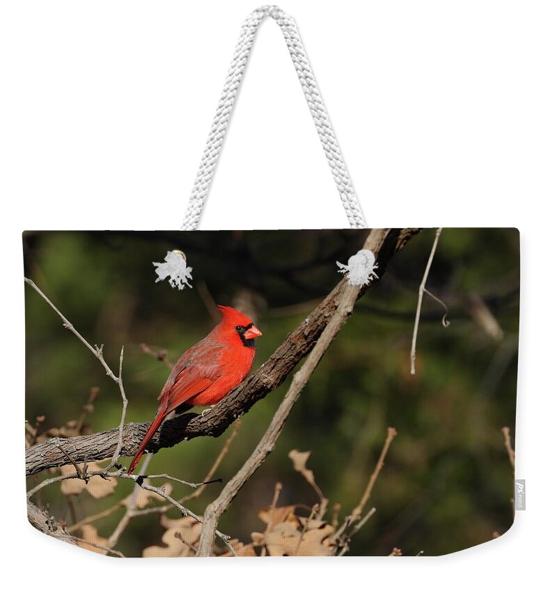 Northern Cardinal Weekender Tote Bag featuring the photograph Cardinal 2575 by John Moyer