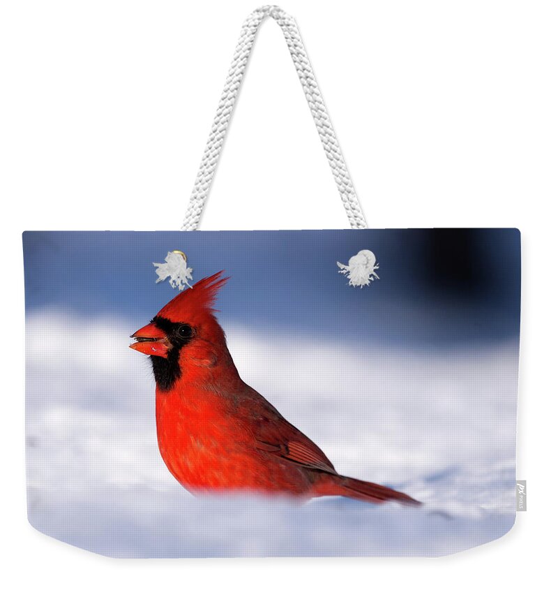Cardinal Weekender Tote Bag featuring the photograph Cardinal on the Snow by Flinn Hackett