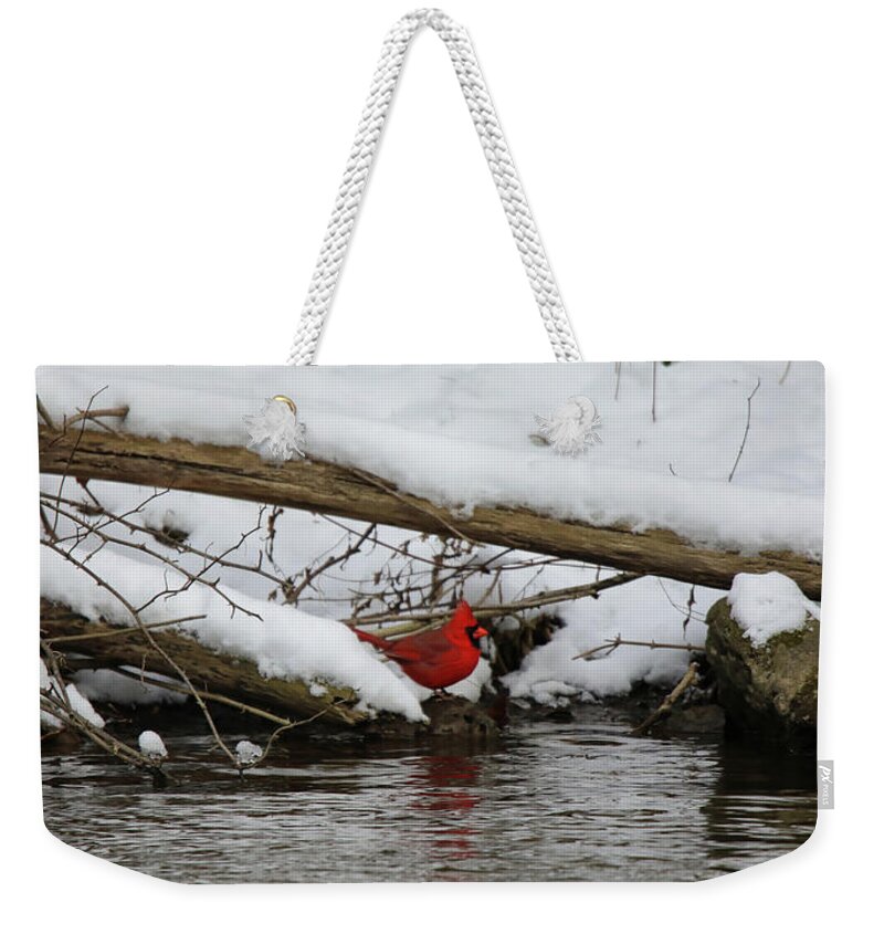 Red Color Weekender Tote Bag featuring the photograph Cardinal Red Reflection by Scott Burd