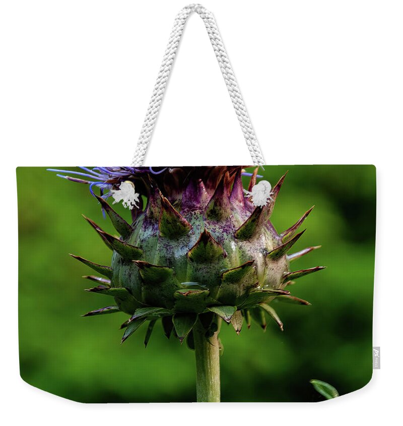 Flowers Weekender Tote Bag featuring the photograph Cardoon by Flees Photos
