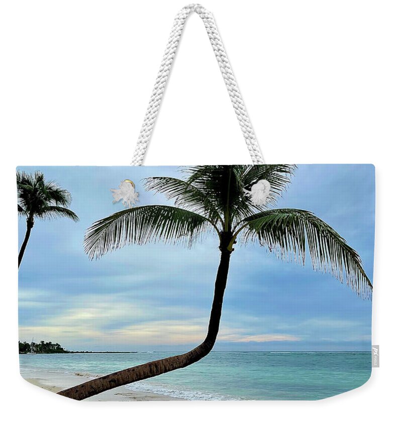 Caribbean Weekender Tote Bag featuring the photograph Caribbean Palm by Brian Eberly