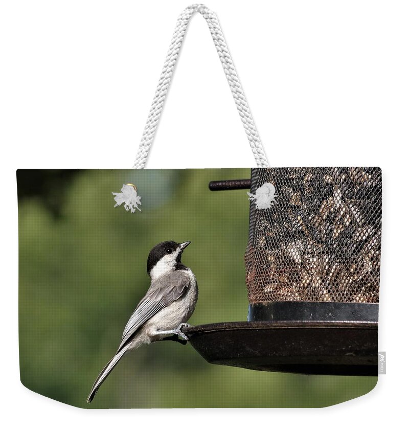 Nature Weekender Tote Bag featuring the photograph Carolina Chickadee on Feeder by Sheila Brown
