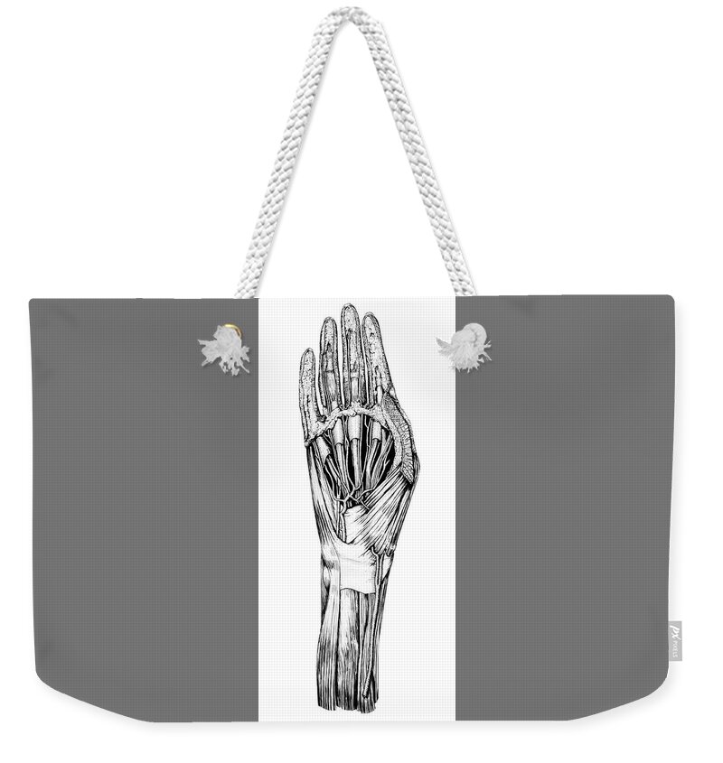 Anatomical Weekender Tote Bag featuring the digital art Carpe Diem Hand Dissection by Russell Kightley