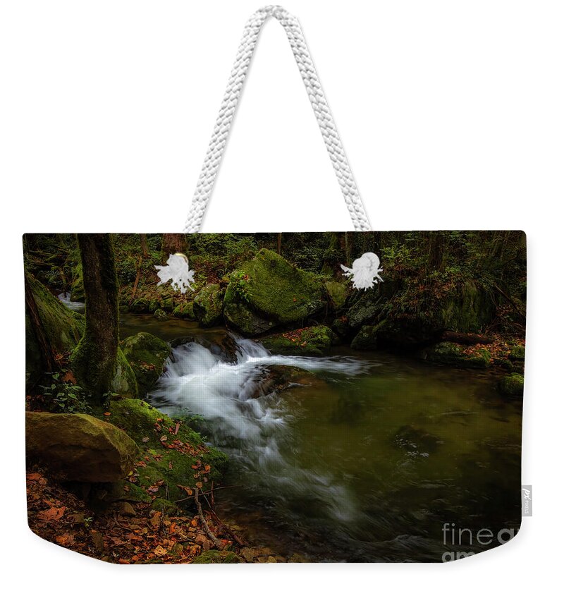 Waterfall Weekender Tote Bag featuring the photograph Cascade at Rocky Fork II by Shelia Hunt