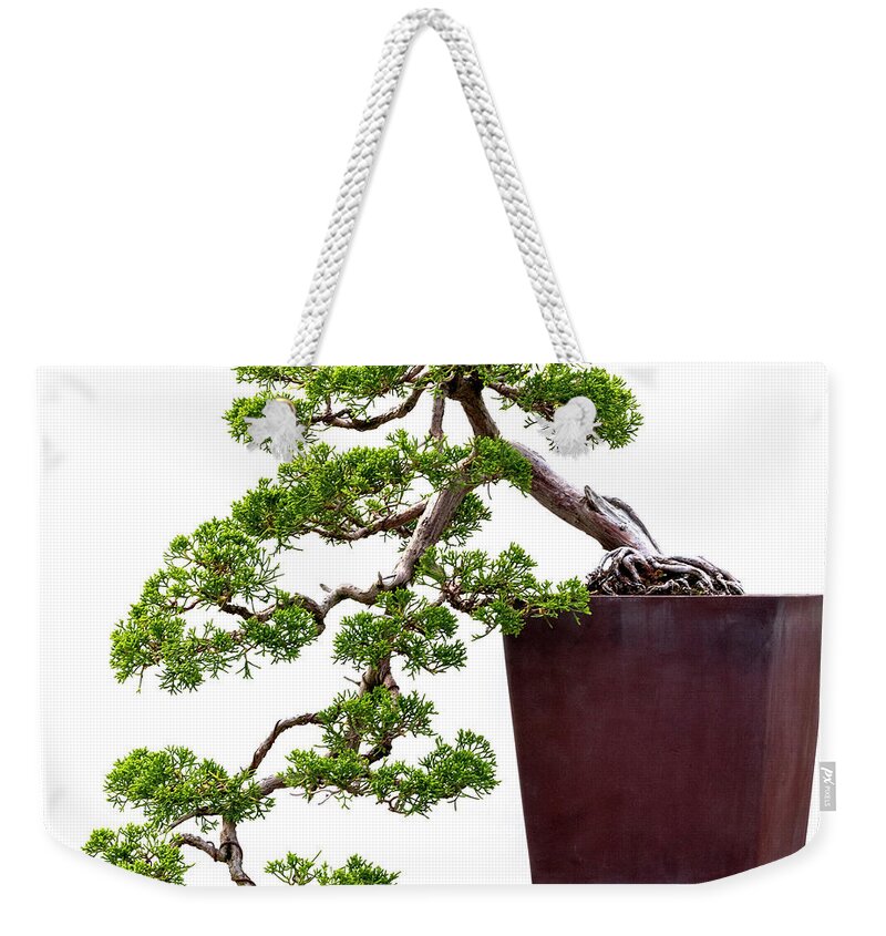 Cascading Juniper Weekender Tote Bag featuring the photograph Cascading Juniper by Patty Colabuono