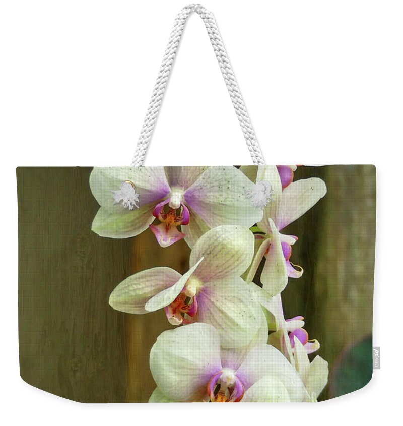 White Orchid Weekender Tote Bag featuring the photograph Cascading Orchid by Amy Dundon