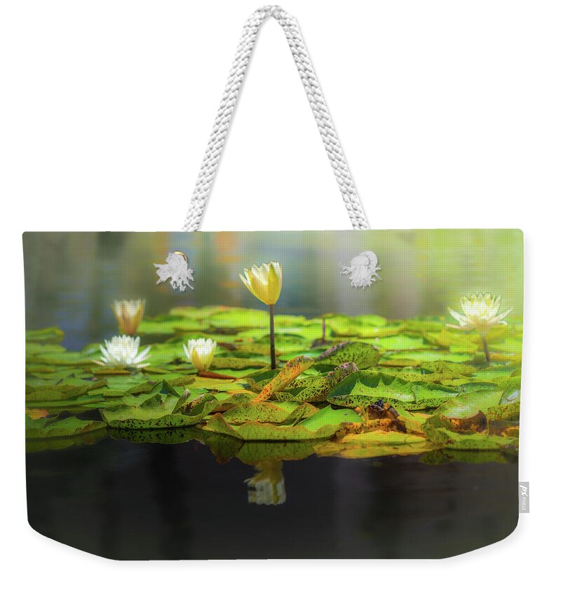 Balboa Park Weekender Tote Bag featuring the photograph Castaways 3 by Ryan Weddle