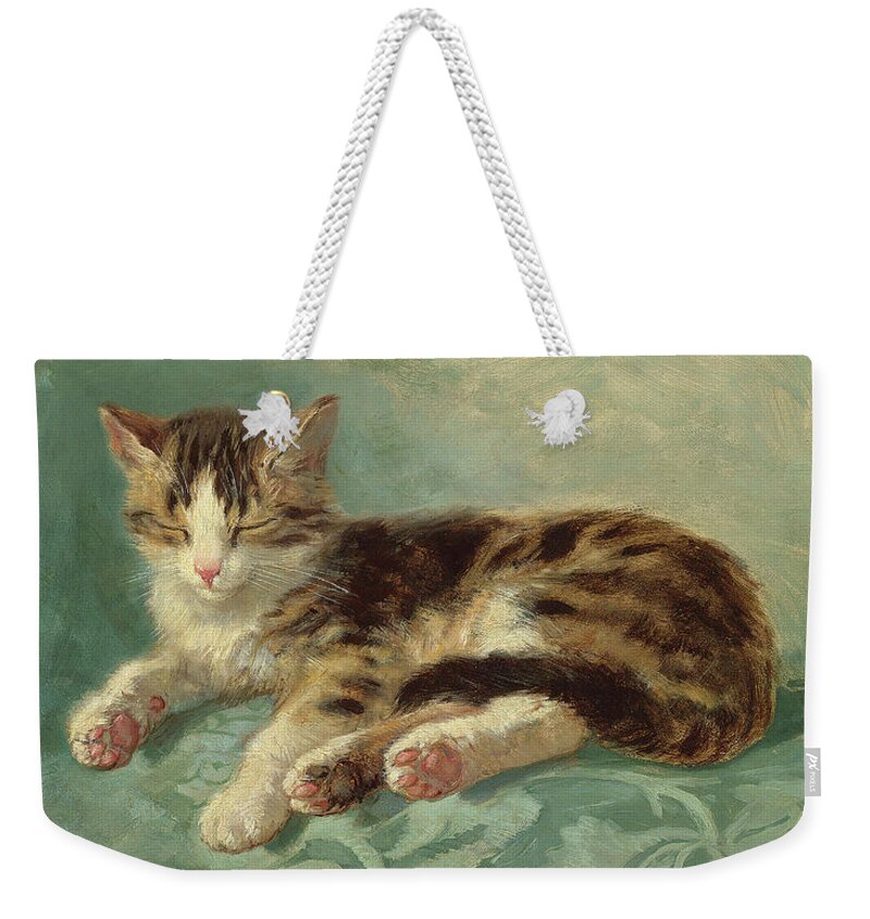 Cat Weekender Tote Bag featuring the painting Cat Nap by Peter Ogden