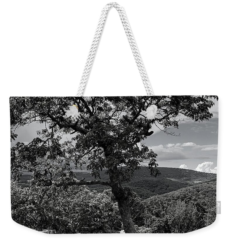 Nc Weekender Tote Bag featuring the photograph Catawampus by Lee Darnell