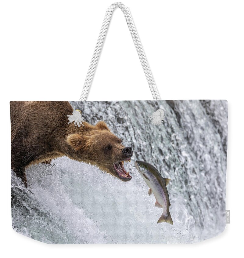 Grizzly Weekender Tote Bag featuring the photograph Catch of the Day by Randy Robbins