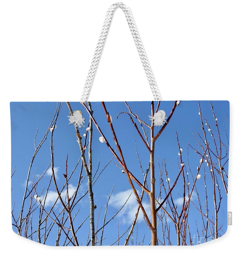 Pussy Willows Weekender Tote Bag featuring the photograph Catkins by Nicola Finch