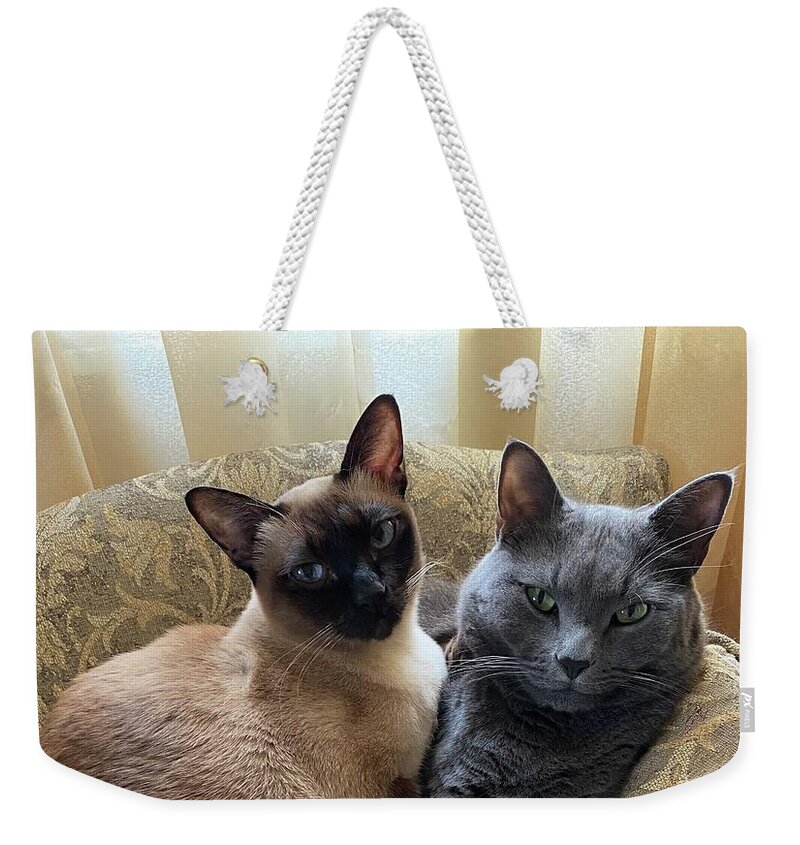 Cats In Love Weekender Tote Bag featuring the photograph Cats in Love by B Rossitto
