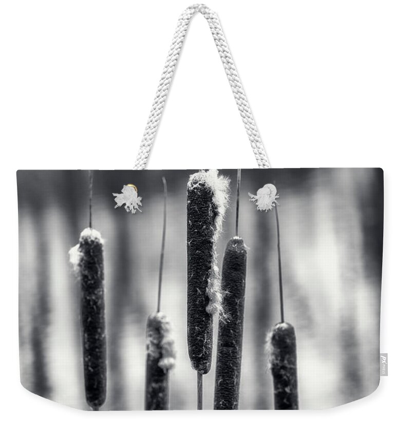 Pond Weekender Tote Bag featuring the photograph Cattail by Cate Franklyn