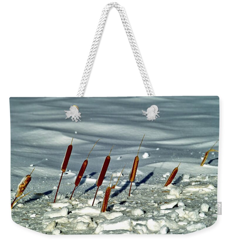 Cattails Weekender Tote Bag featuring the photograph Cattails in the Snow II by Theresa Fairchild
