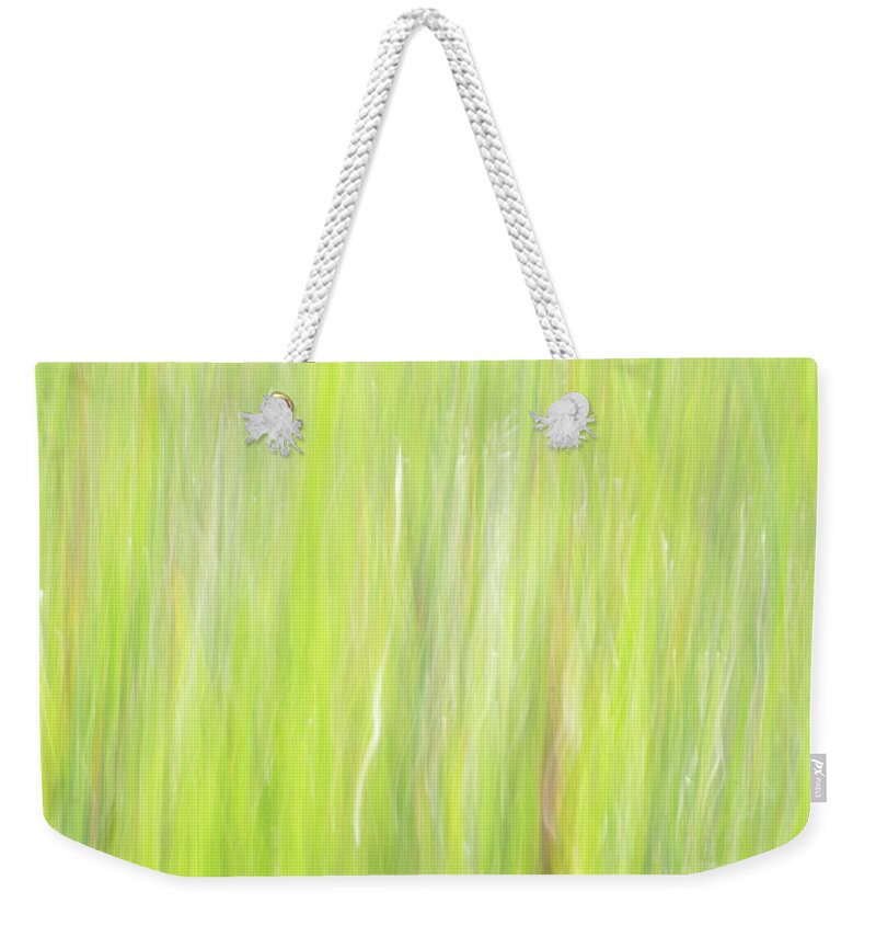 Nature Weekender Tote Bag featuring the photograph Cattails in the Wind by Forest Floor Photography