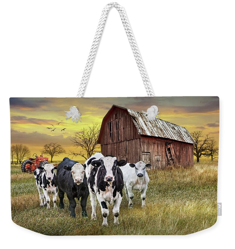 Barn Weekender Tote Bag featuring the photograph Cattle in the Midwest with Barn and Tractor at Sunset by Randall Nyhof