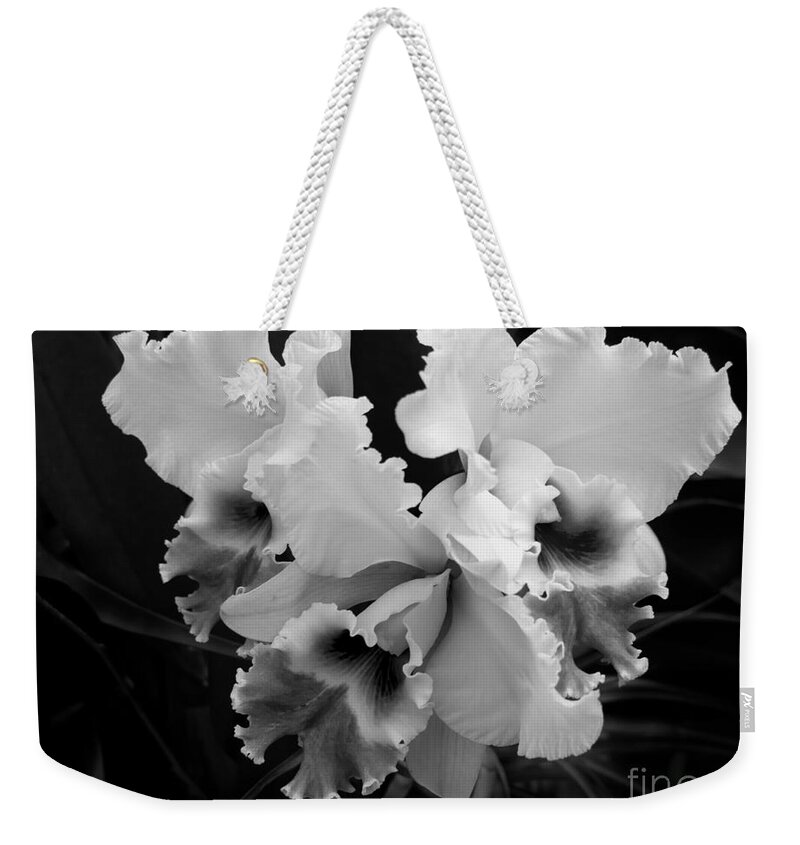 Cattleya Orchid Weekender Tote Bag featuring the photograph Cattleya Orchid in Black and White by L Bosco