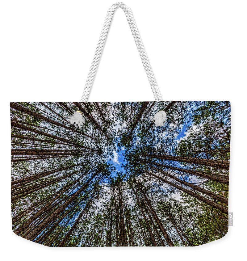 Higgins Lake Weekender Tote Bag featuring the photograph CCC Pines Lookup by Joe Holley