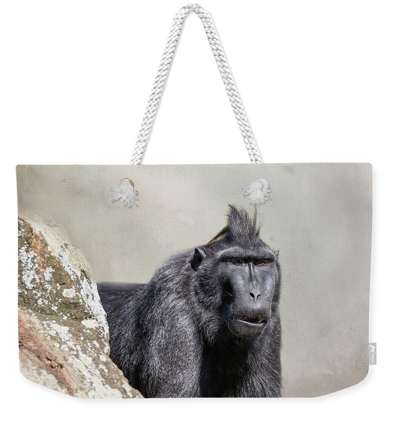 Old World Monkey Weekender Tote Bags
