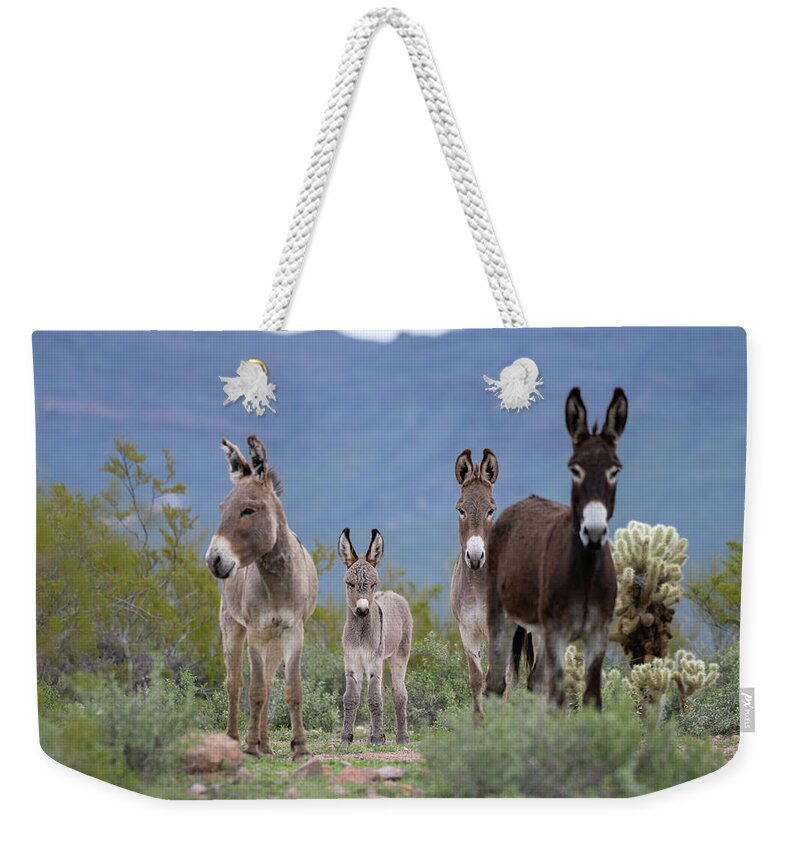 Wild Burro Weekender Tote Bag featuring the photograph Center of Attention by Mary Hone